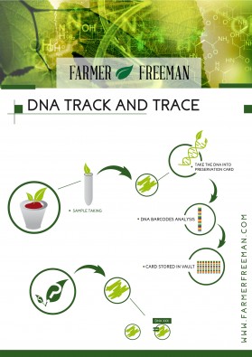 Brochure Design Entry 2489767 submitted by bartous to the contest for Farmer Freeman run by farmerfreeman