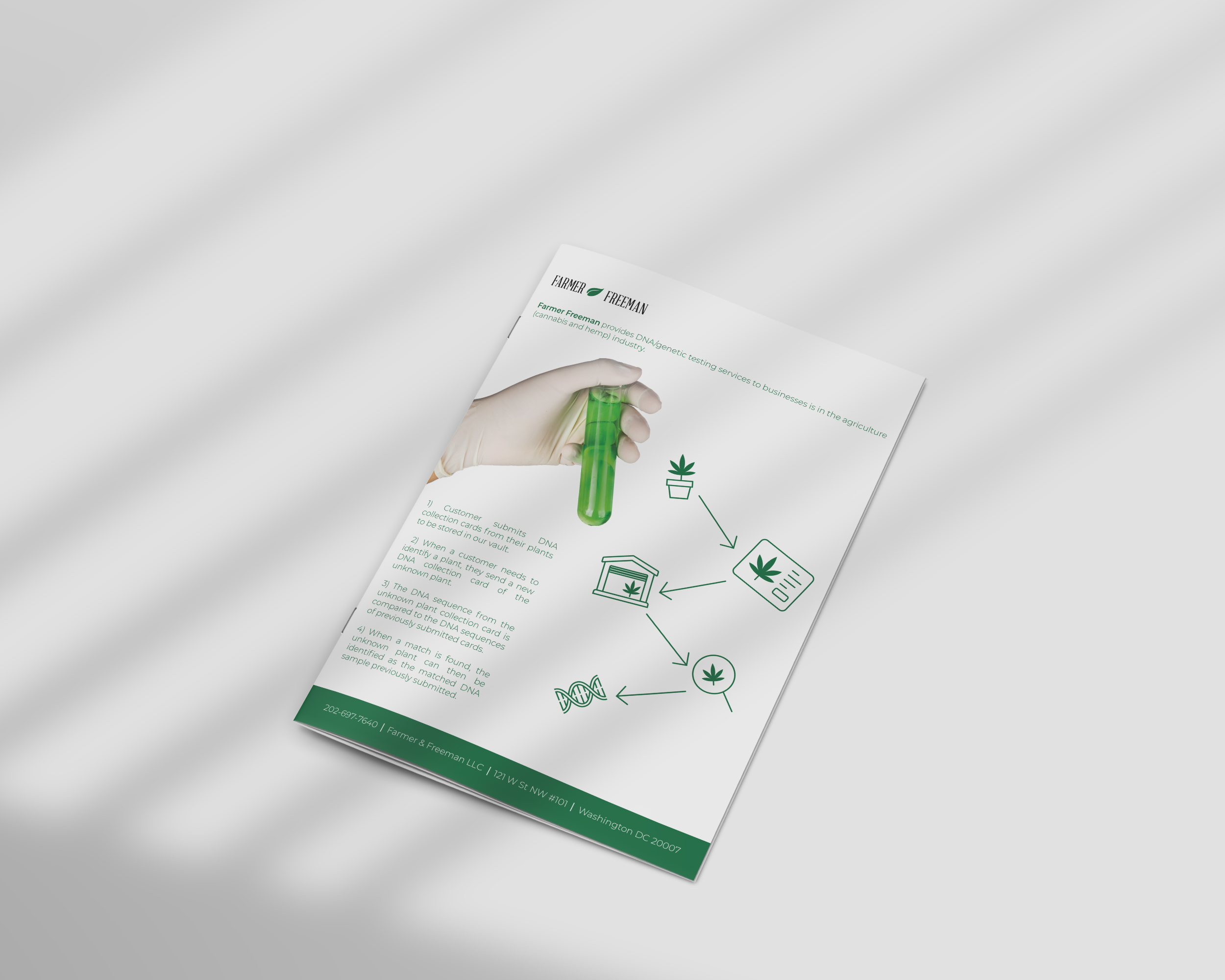 Brochure Design entry 2490384 submitted by Symmetrical