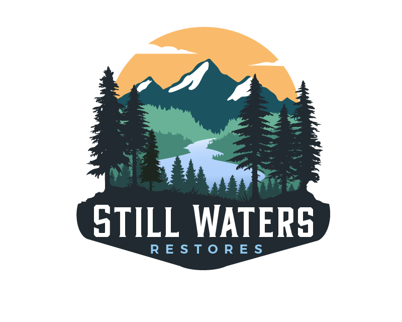 Logo Design entry 2413306 submitted by Logigraph to the Logo Design for Still Waters run by adpottssr