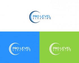 Pro-Level-Cleaning-5.jpg