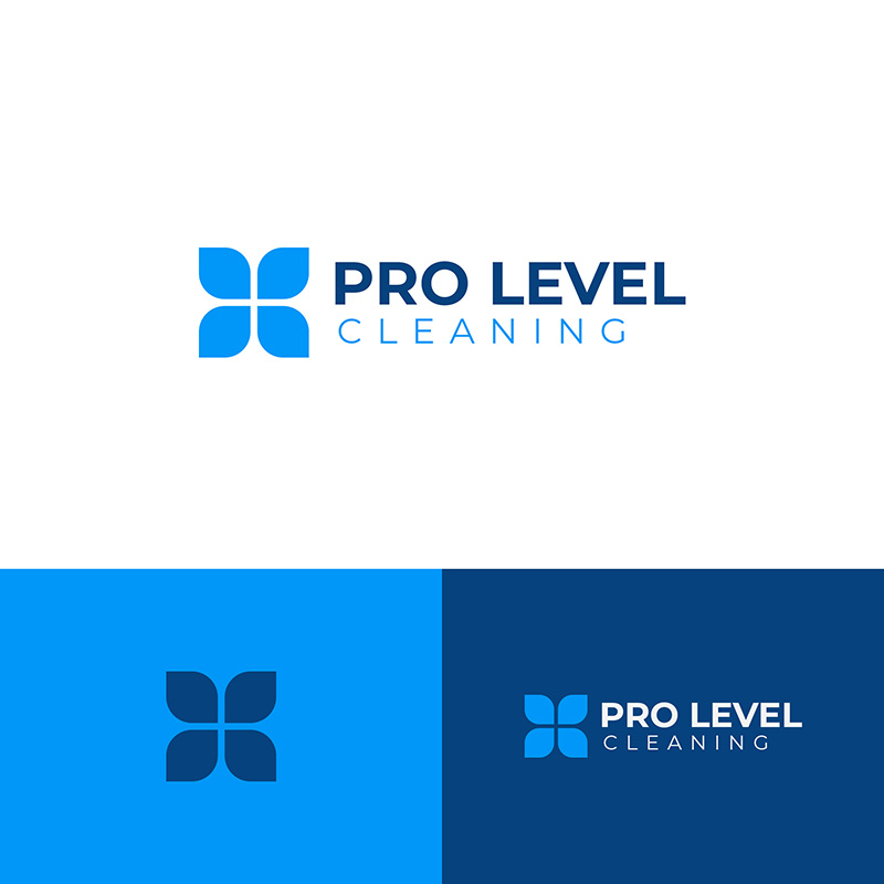 Logo Design entry 2416909 submitted by Ridwanfl to the Logo Design for Pro Level Cleaning run by Terrance423