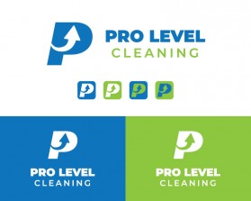PRO-LEVEL-CLEANING1.jpg