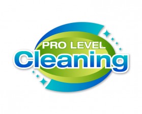 Pro Level Cleaning-1.jpg