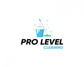 PRO LEVEL CLEANING.jpg