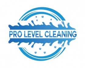 Pro-Level-Cleaning.jpg