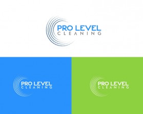 Pro-Level-Cleaning-2.jpg