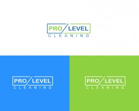 Pro-Level-Cleaning-4.jpg