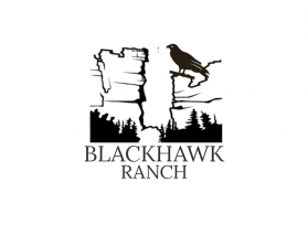 Logo Design Entry 2428776 submitted by Abhiart341514 to the contest for BlackHawk Ranch run by rgraham