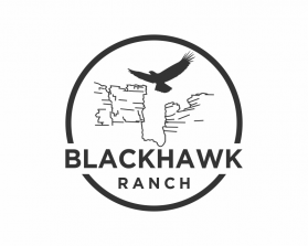 Logo Design entry 2427406 submitted by SN to the Logo Design for BlackHawk Ranch run by rgraham