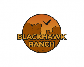 Logo Design Entry 2428646 submitted by amin796 to the contest for BlackHawk Ranch run by rgraham
