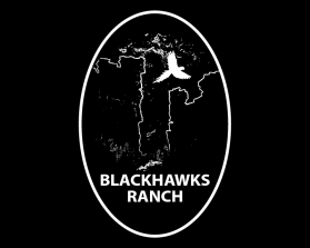 Logo Design Entry 2428760 submitted by Ganesh2003 to the contest for BlackHawk Ranch run by rgraham