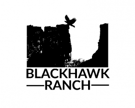 Logo Design Entry 2428738 submitted by dignr07 to the contest for BlackHawk Ranch run by rgraham