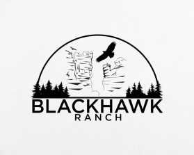 Logo Design entry 2427375 submitted by MD-Designer to the Logo Design for BlackHawk Ranch run by rgraham