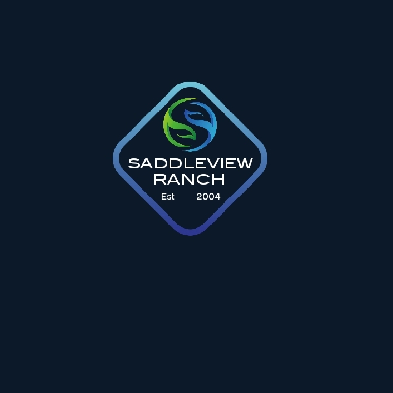 Logo Design entry 2536596 submitted by Rao5415