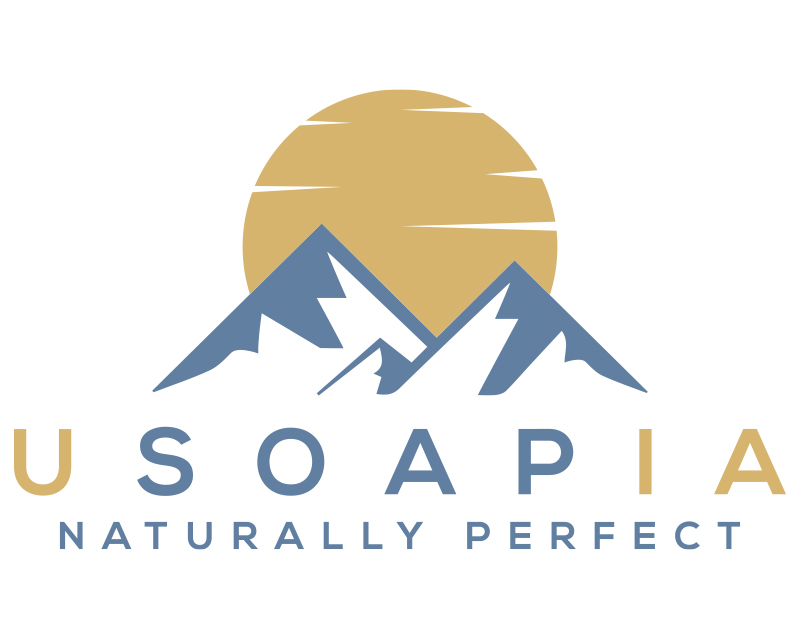 Logo Design entry 2524336 submitted by Nish