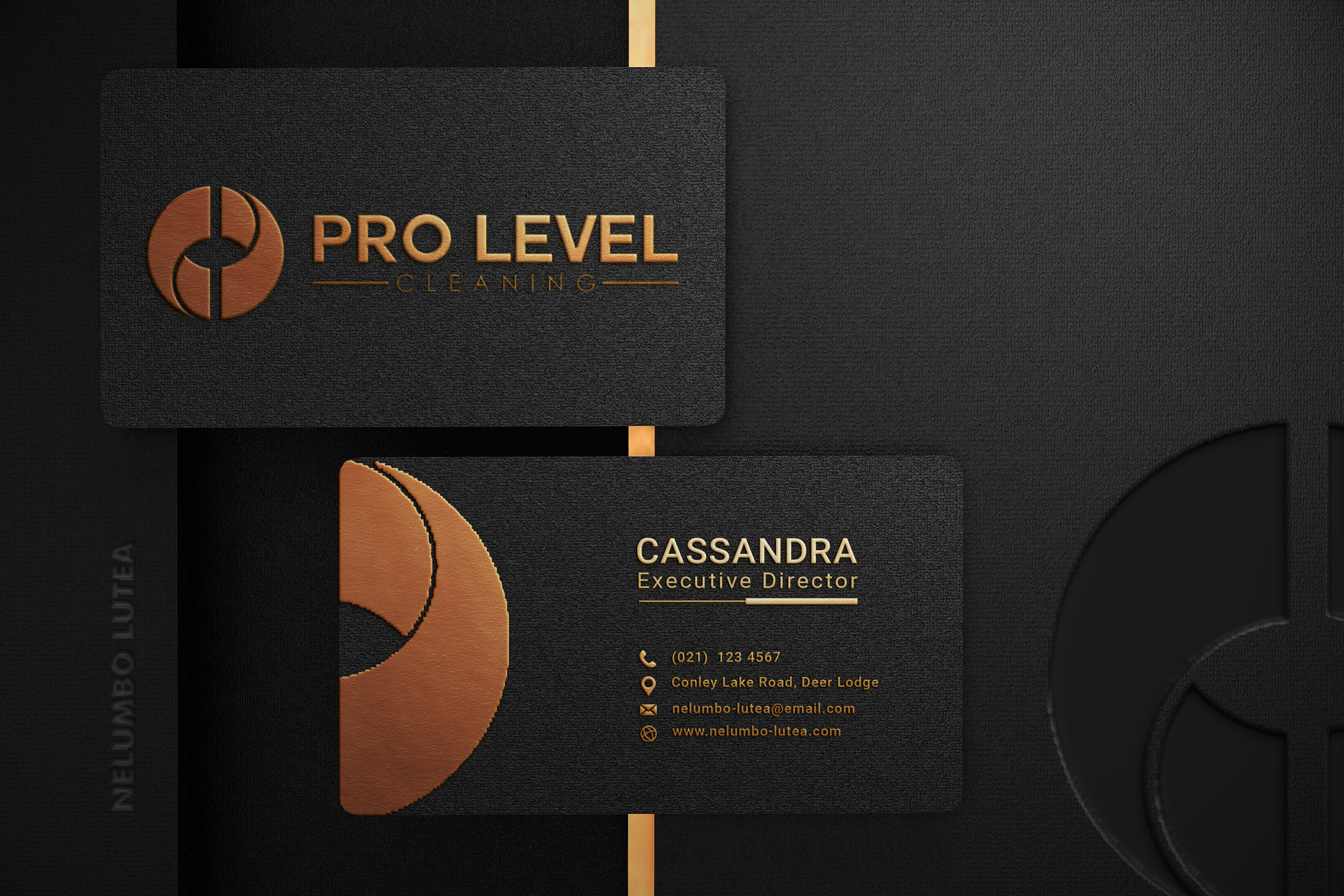 Business Card & Stationery Design entry 2536422 submitted by virus99