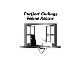 feline rescue-04-01.jpg