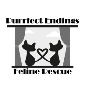 Logo Design Entry 2477340 submitted by Marisabel55 to the contest for Purrfect Endings Feline Rescue run by Purrfect123