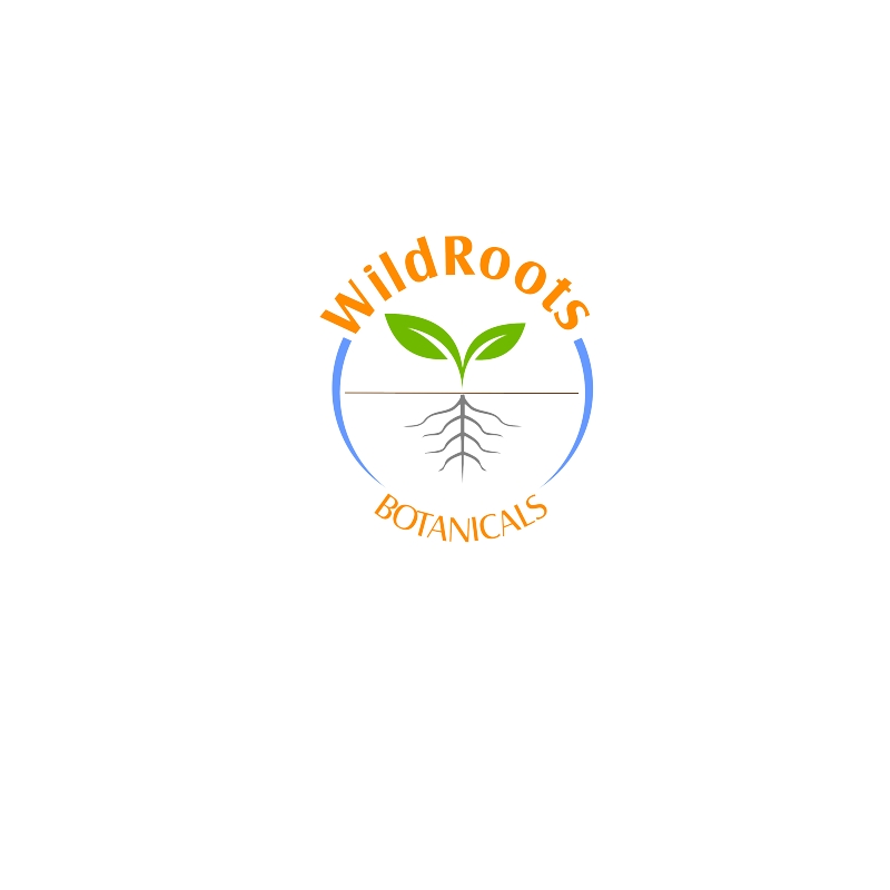 Logo Design entry 2585515 submitted by Cappanegra