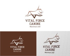 Vital Force Canine2.jpg