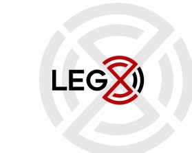LEG X3.jpg