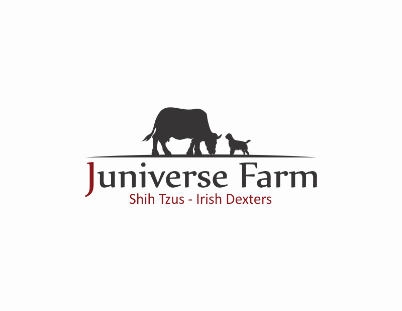 Logo Design entry 2555879 submitted by amira to the Logo Design for Juniverse Farm run by junesmiley
