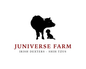 Logo Design Entry 2550967 submitted by vadajs to the contest for Juniverse Farm run by junesmiley
