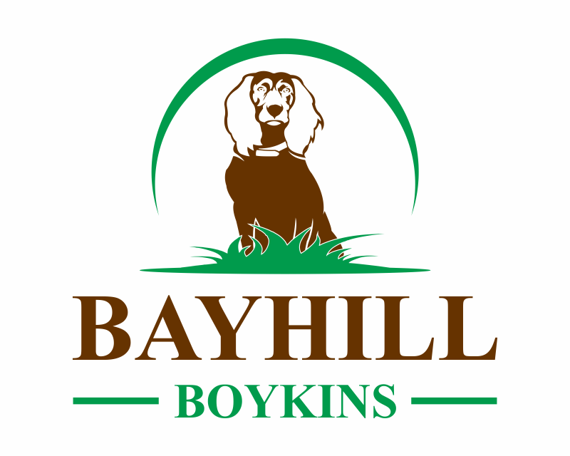 Logo Design entry 2579724 submitted by gembelengan to the Logo Design for Bayhill Boykins run by pldowney