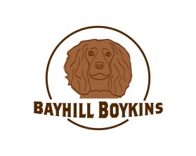 Logo Design Entry 2569903 submitted by vadajs to the contest for Bayhill Boykins run by pldowney