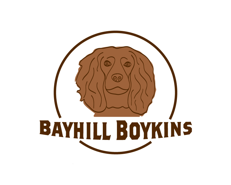 Logo Design entry 2579724 submitted by vadajs to the Logo Design for Bayhill Boykins run by pldowney