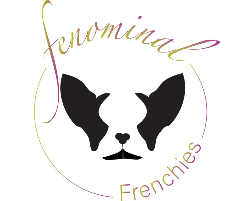 Logo Design entry 2574065 submitted by not2shabby to the Logo Design for Fenomenal Frenchies run by dgeisel