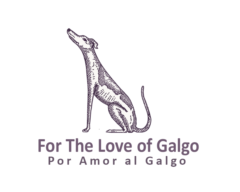 Logo Design entry 2587376 submitted by rzak to the Logo Design for For The Love of Galgo (English) run by YourLifestyleM