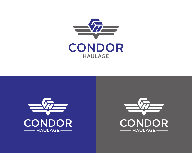 Logo Design entry 2671768 submitted by NSR