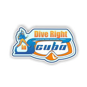 Graphic Design Entry 2593173 submitted by dragandjb to the contest for Dive Right In Scuba run by dri$1170