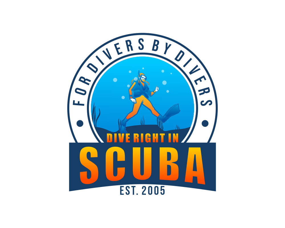 Graphic Design entry 2593299 submitted by BrightKidz to the Graphic Design for Dive Right In Scuba run by dri$1170