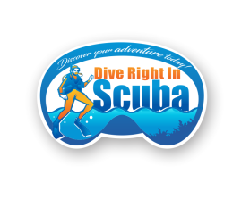 Graphic Design entry 2592965 submitted by dragandjb to the Graphic Design for Dive Right In Scuba run by dri$1170