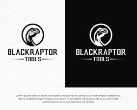 Logo Design entry 2688742 submitted by sterngd
