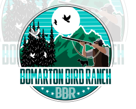 BOMARTON BIRD 800 POLOS.png
