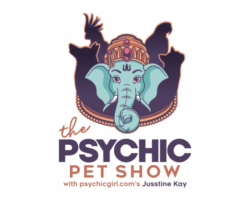 Logo Design entry 2681138 submitted by ddutta806 to the Logo Design for The Psychic Pet Show run by psychicgirl