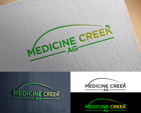 Logo Design entry 2810450 submitted by Trajandesigns