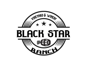 Logo Design Entry 2709591 submitted by Colorsurf to the contest for Black Star Ranch run by SalliKerr