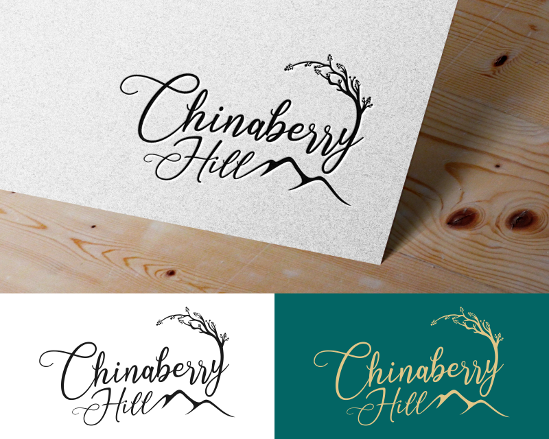 Logo Design entry 2798910 submitted by ej94
