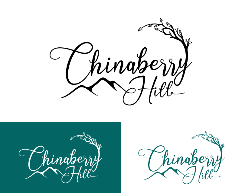 Logo Design entry 2798909 submitted by ej94