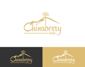 Logo Design entry 2798925 submitted by ecriesdiyantoe