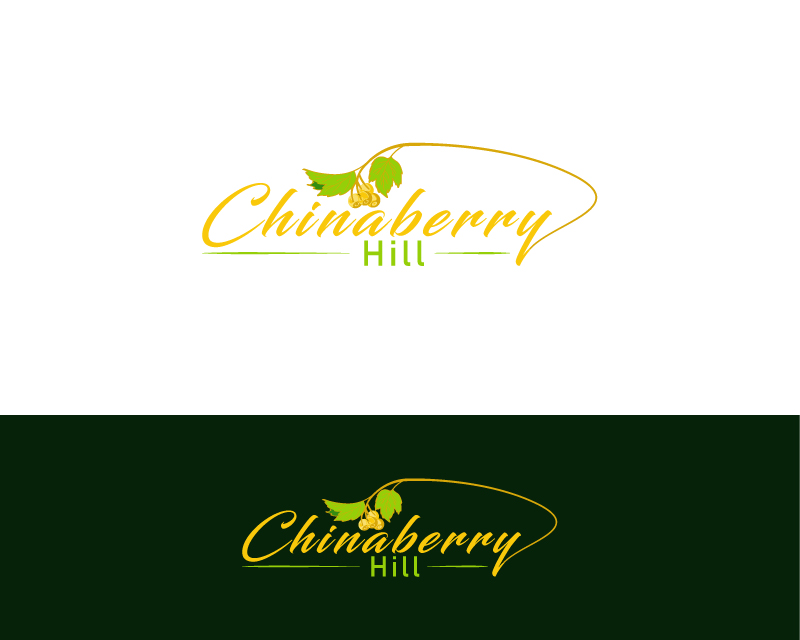 Logo Design entry 2798945 submitted by StudioTech