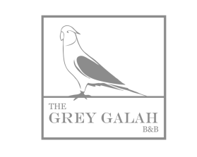 Logo Design Entry 2738756 submitted by biddow to the contest for The Grey Galah run by bekkyh