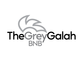 Logo Design Entry 2738492 submitted by papamik to the contest for The Grey Galah run by bekkyh
