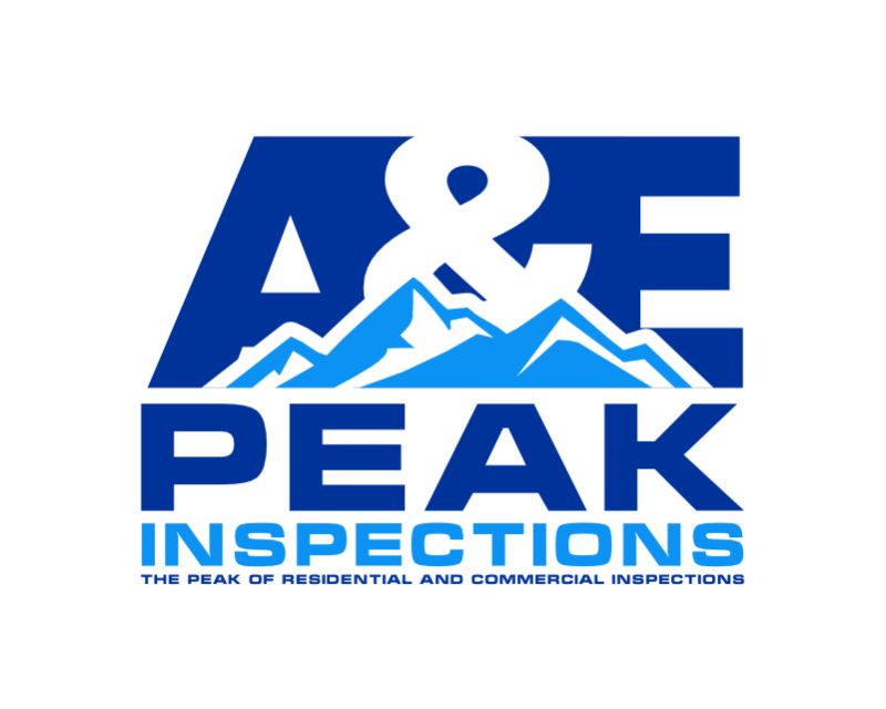Logo Design entry 2745977 submitted by yusuflogo81 to the Logo Design for A&E Peak Inspections run by Afern135