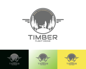 Logo Design entry 2765681 submitted by petruspuji