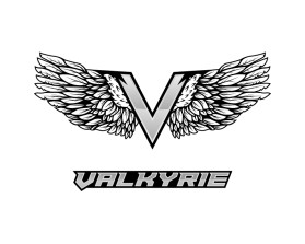 Logo Design Entry 2777203 submitted by STROCTOS to the contest for Valkyrie run by davinci